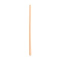 BSeal 10" 162C Peach (Tube Only)