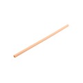 BSeal 10" 162C Peach (Tube Only)