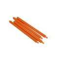 BSeal Fall 4-Pack (Deep Pumpkin)