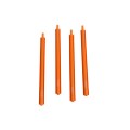 BSeal Fall 4-Pack (Deep Pumpkin)
