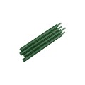 BSeal Fall 4-Pack (Pine Forest)